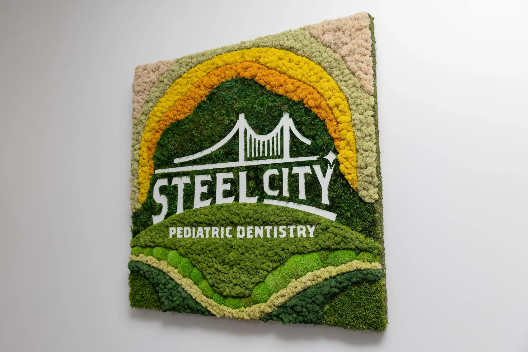 Learn More About Steel City Pediatric Dentistry